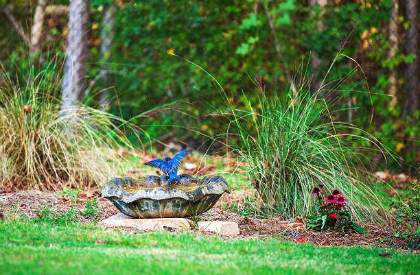 Two birds perched on a metal bird bath in a lush green garden
