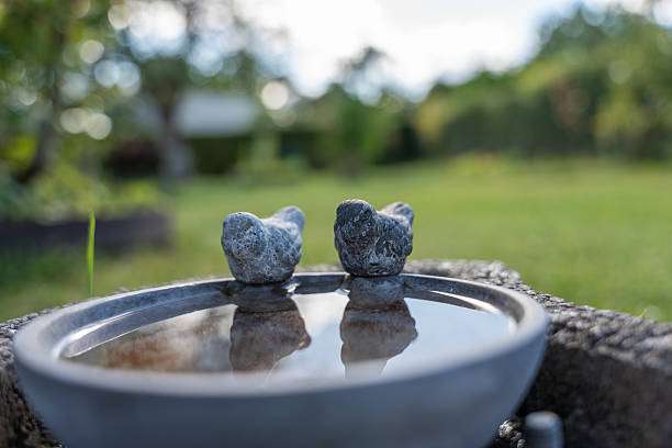 Wonderful small garden bird bath, with two model birds on the side of the bath and a leaf in the water.