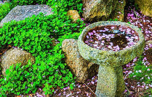 Bird bath in garden bed