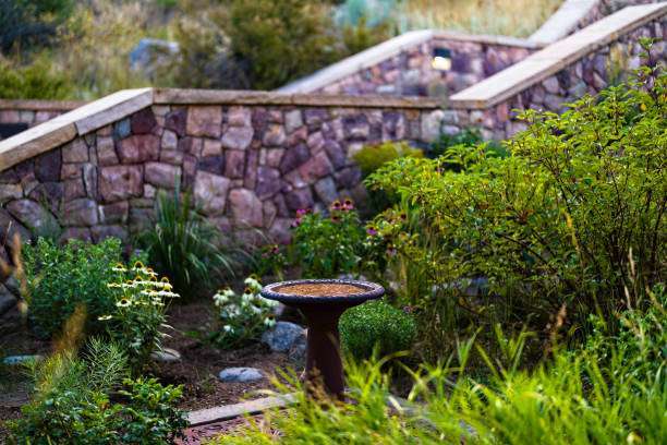 Bird Bath in Garden with No Birds