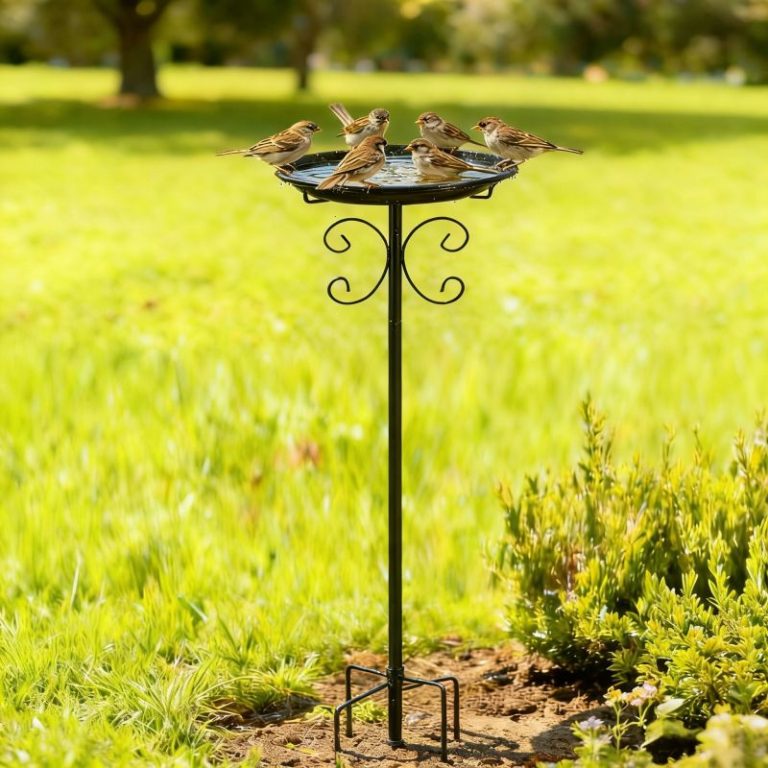 Lightweight detachable outdoor bird bath