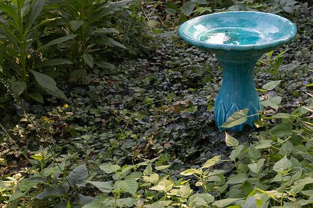 A beautiful teal ceramic bird bath stands amidst a lush, green garden.