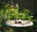 Stone bird bath in a summer garden