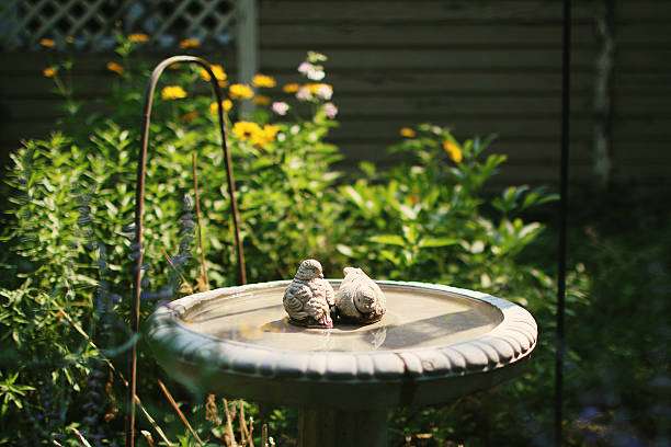 Stone bird bath in a summer garden