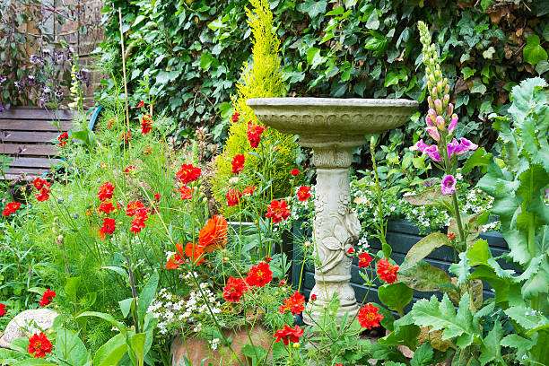 Stone bird bath in summer bedding flowers with an ivy-covered fence in the background.