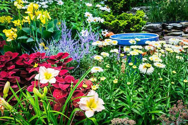 Colorful garden featuring a blue bird bath amidst vibrant daisies, yellow flowers, and red plants.