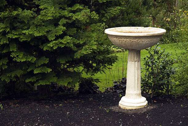 Elegant stone bird bath stands prominently in a lush green garden setting.