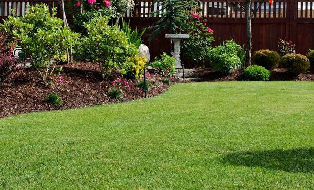 Lush garden with a stone bird bath and vibrant plants.