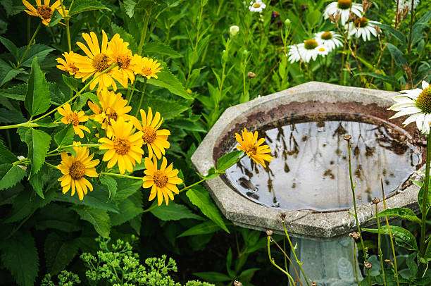 Octagonal stone bird bath reflects yellow flowers in a vibrant garden setting with white daisies.